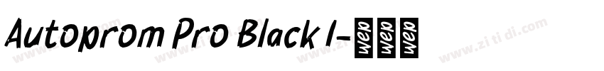 Autoprom Pro Black I字体转换